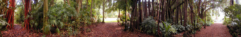 Banyan Woods Hana Gardenland