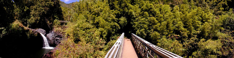 Pipiwai Trail Bridge
