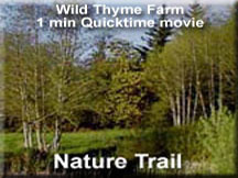 Wild Thyme Nature Trail