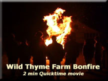 Wild Thyme Bonfire